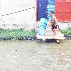 Hậu Giang: Giá cá tra tăng trở lại