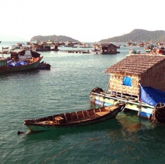 Kiên Giang: Chú trọng nuôi thủy sản cả mặn - lợ - ngọt