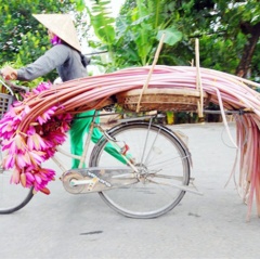 Mùa nước nổi có những sản vật gì?