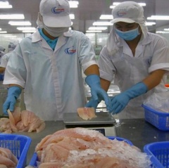 FSIS đề xuất công nhận tương đương cho cá tra Việt Nam