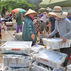 Đừng lợi dụng mưa bão để ép giá thu mua hải sản