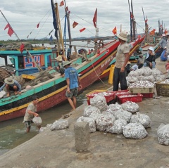 Thủy sản Nghệ An khởi sắc