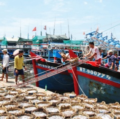 Ba “điểm sáng” của ngành Thủy sản