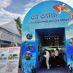 20-9 diễn ra ngày hội cá cảnh TP.HCM năm 2018