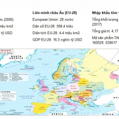 Phân tích thị trường EU và cơ hội của tôm Việt