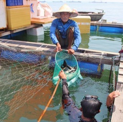 Đề nghị hỗ trợ 9,2 tỷ đồng chuyển đổi nghề nghiệp cho người nuôi cá bớp bị chết