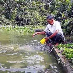 U70 vẫn làm kinh tế giỏi
