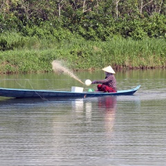 Tây Ninh: Tăng cường quản lý nuôi cá tra