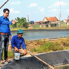 Thanh niên làm giàu từ mô hình nuôi tôm thẻ chân trắng