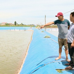 Mô hình hợp tác xã nuôi trồng thủy sản ở Ninh Bình