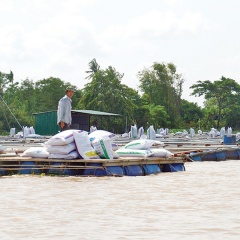 Tác động từ nuôi thủy sản đến chất lượng nước mặt