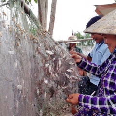 Khai thác nguồn lợi thủy sản cuối mùa lũ