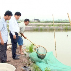 Ninh Bình: Hiệu quả từ chuyển diện tích lúa kém hiệu quả sang thủy sản