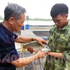 Lợi ích kép khi dán tem truy xuất nguồn gốc nông sản