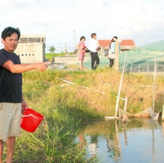 Thanh Hóa: Hạ tầng khu nuôi trồng thủy sản còn yếu