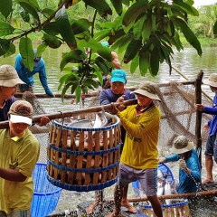 Thủy sản tăng tốc phát triển