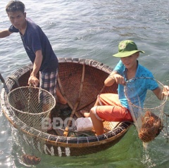 Bình Định: Nỗ lực bảo vệ nguồn lợi thủy sản ven bờ