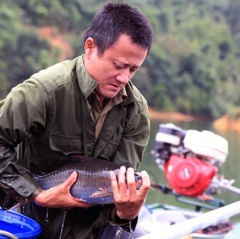 Nghề nuôi cá trên lòng hồ thủy điện lớn thứ 2 Nghệ An