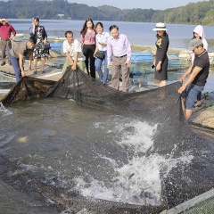 Hiệu quả từ “Dự án nuôi cá trong lồng bè” tại Điện Biên