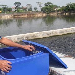 Lãi 400 triệu sau 6 tháng nuôi cá theo công nghệ “sông trong ao”