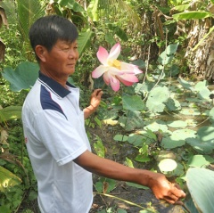 Lúa - sen - cá, giúp người cựu chiến binh làm giàu