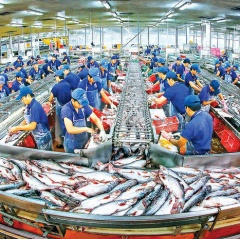 Xuất khẩu cá tra năm 2019 đặt mục tiêu 2,4 tỷ USD