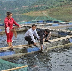 Mường Tè - Lai Châu: phát triển nghề nuôi trồng thủy sản