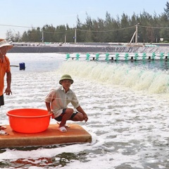 Tạo “cú hích” để phát triển kinh tế thủy sản Hà Tĩnh
