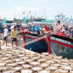 Cần cơ chế mới cho hoạt động đoàn kết khai thác thủy sản