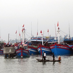 Làng biển Tam Quang qua mùa đánh bắt...