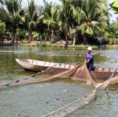 Người nuôi cá tra không nên "ngủ quên trên chiến thắng"!