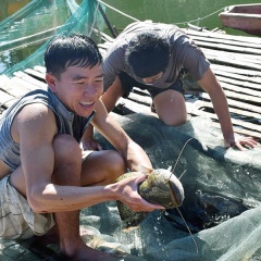 Nhiều mô hình khuyến ngư thu lãi hàng trăm triệu đồng