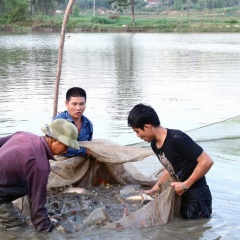 Nuôi trồng thủy sản giá trị kinh tế cao