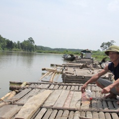 Thường Xuân phát triển nghề nuôi cá lồng