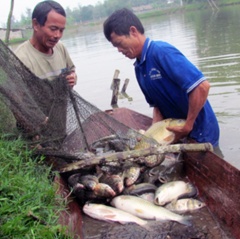 Hiệu quả nhờ chuyển đổi sinh kế của ngư dân ven biển tại Nghệ An