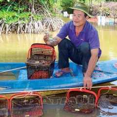 Hướng đi mới từ mô hình nuôi tôm tít lồng