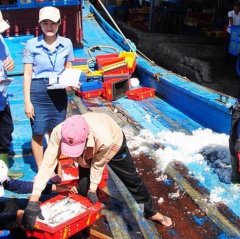 Truy xuất nguồn gốc thủy sản: Nghiêm túc, hiệu quả và có trách nhiệm