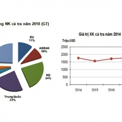 Xuất khẩu cá tra năm 2018, định hướng thị trường năm 2019