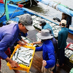 Ghi nhật ký khai thác thủy sản: Có nhưng… đối phó