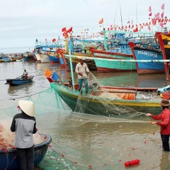 Bình Thuận: Phát triển thủy sản thành kinh tế mũi nhọn