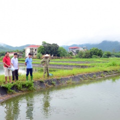 Tuyên Quang: Phát triển thủy sản bền vững