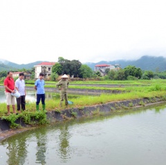 Tuyên Quang: Đẩy mạnh chuỗi liên kết sản xuất thủy sản