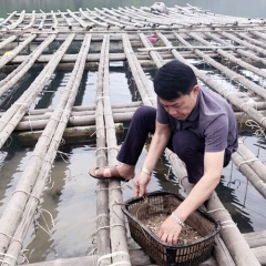 Nuôi trồng thủy sản phát triển ở làng chài Thắng Lợi