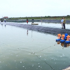 Thành công trong nuôi tôm nhờ không ngừng học hỏi