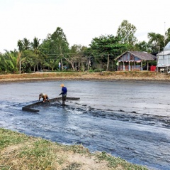 Nông dân Sóc Trăng tất bật chuẩn bị cho vụ tôm mới