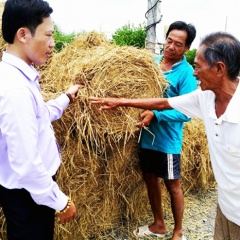 Nuôi tôm quảng canh Cà Mau vật lộn với nắng hạn