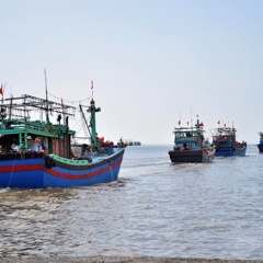 Tàu cá trên 24m phải có thiết bị giám sát hành trình mới được ra khơi