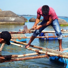 Hàng trăm bè nuôi cá ở vùng biển Dung Quất bị tháo dỡ