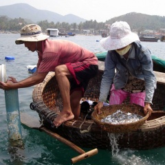 Tôm chết, người nuôi như ngồi trên lửa