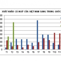 Xuất khẩu cá ngừ sang Trung Quốc tăng đột biến